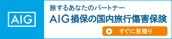 旅するあなたのパートナーAIG損保の国内旅行損害保険