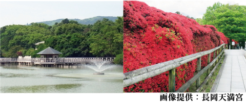 長岡天満宮