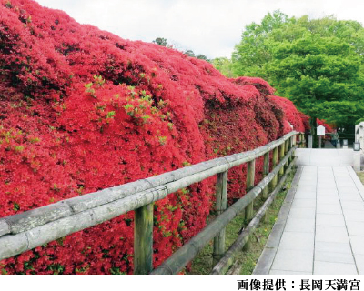 長岡天満宮