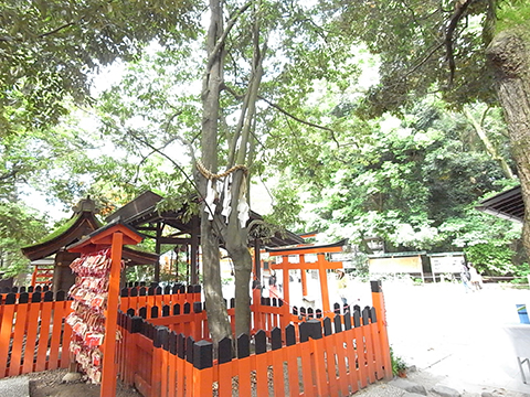 下鴨神社