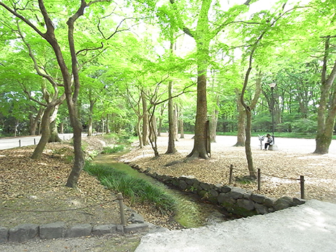 下鴨神社