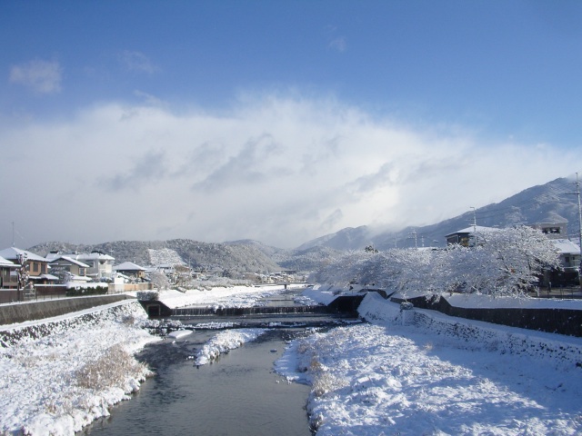 鴨川デルタ