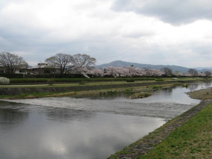 鴨川デルタ